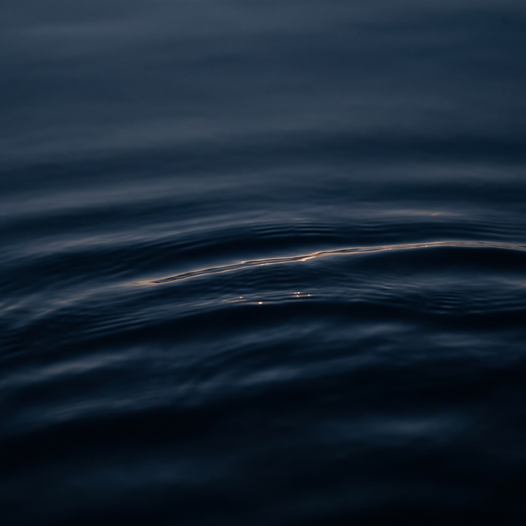 Dark navy water at dusk, a few faint warm glints on the surface.