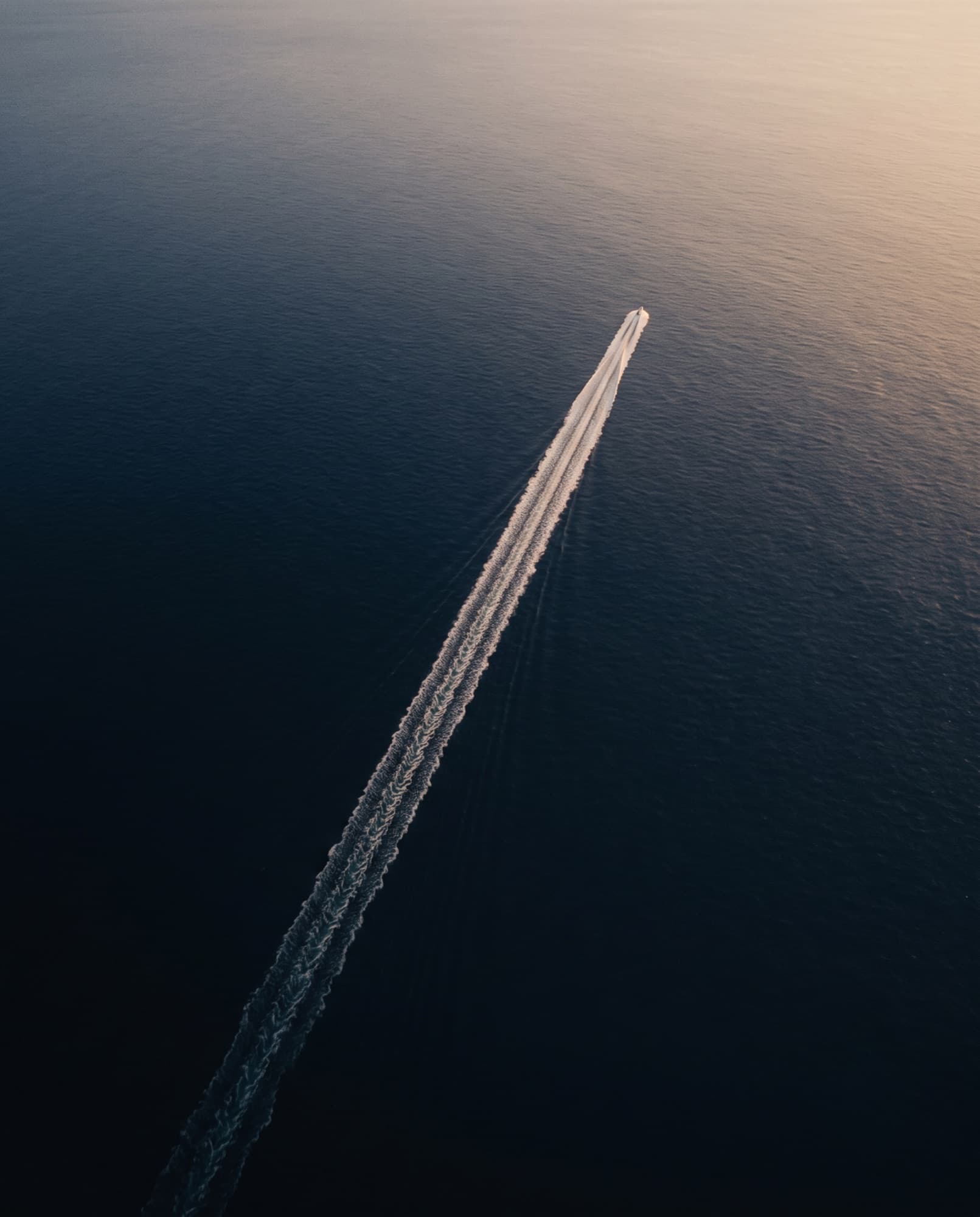 A single clean wake line cutting through deep navy water at first light, seen from above.